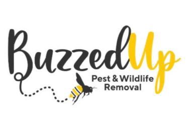 Buzzed Up Pest & Wildlife Removal