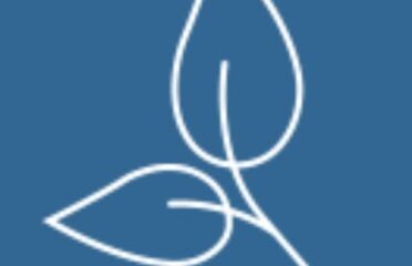 Trisha Johnson Therapy Group