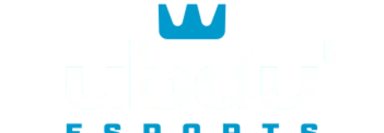 DubDub Esports Arcade