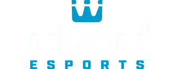 DubDub Esports Arcade