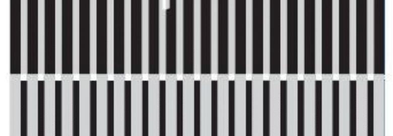 CITIDENTAL Brookline