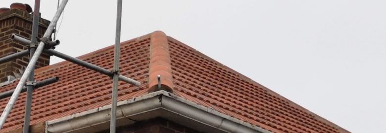 Roof Cleaning And Restoration Wilderness